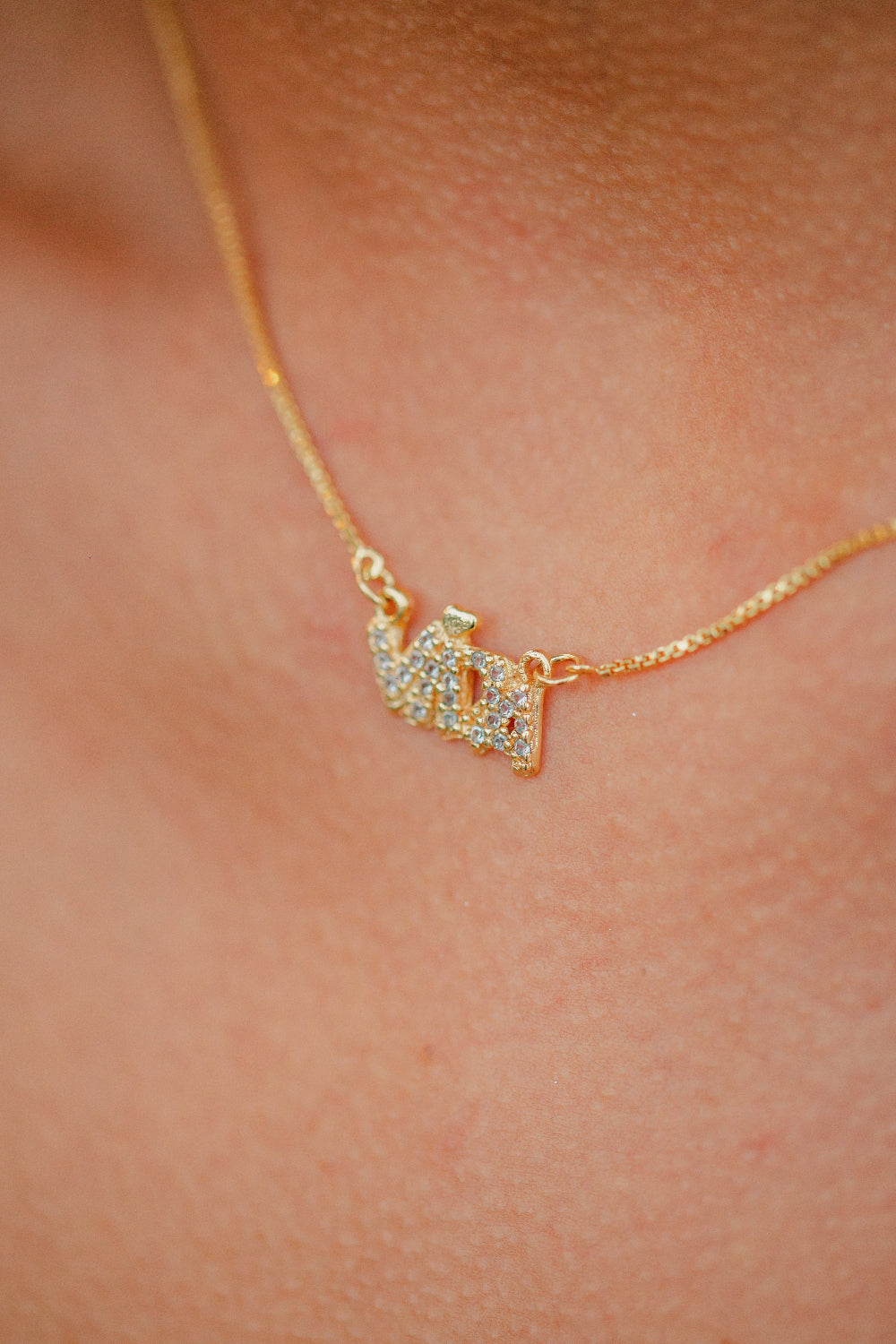 COLAR VIDA CRAVEJADO FOLHEADO A OURO 18K