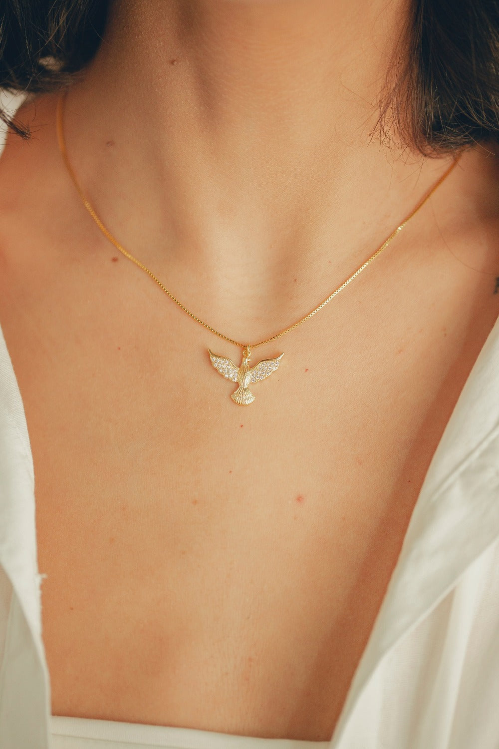 COLAR ESPIRITO SANTO FOLHEADO A OURO 18K