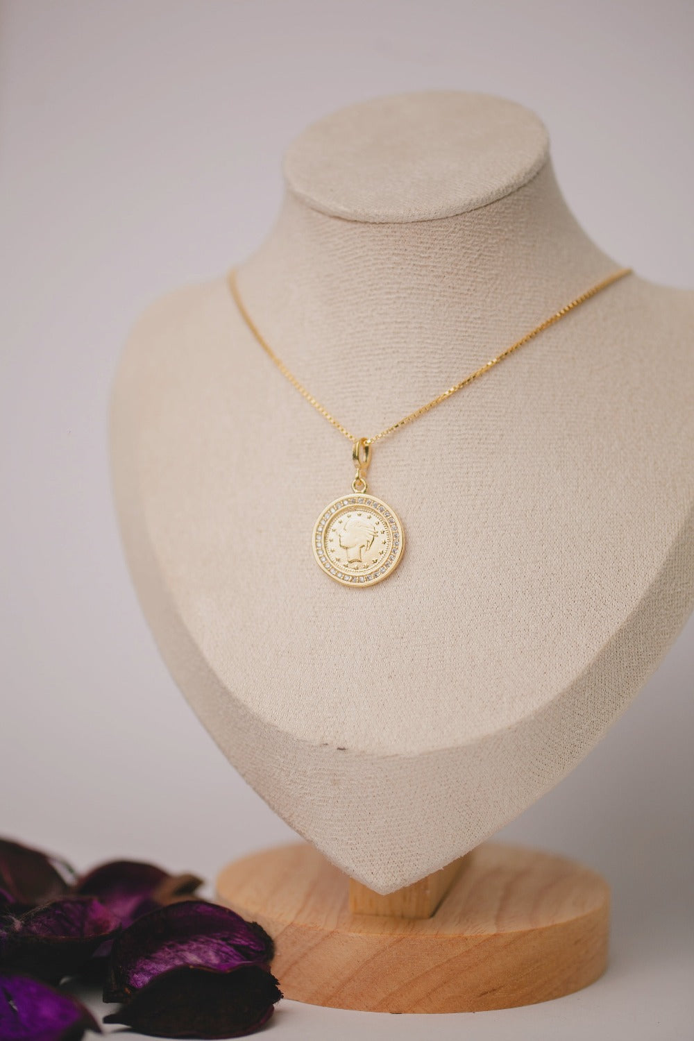 COLAR MOEDA CRAVEJADA DE ZIRCONIA FOLHEADO A OURO 18K