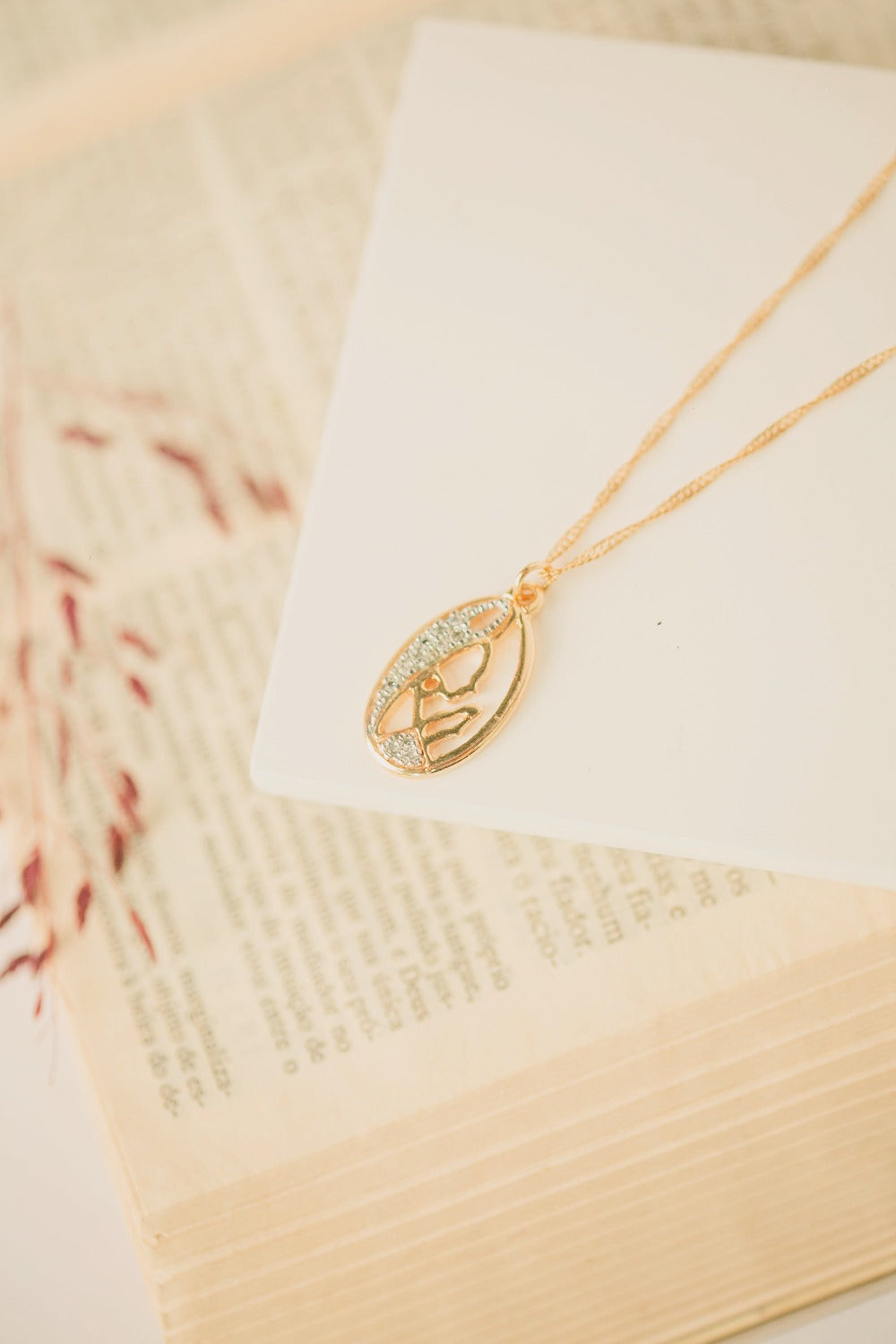 COLAR NOSSA SENHORA PEQUENA CRAVEJADA DE ZIRCÔNIA FOLHEADO A OURO 18K