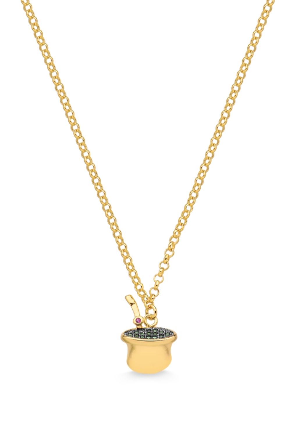 COLAR COM PINGENTE DE CHIMARRÃO CRAVEJADO COM ZIRCÔNIAS FOLHEADO A OURO 18K