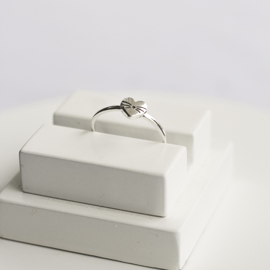 ANEL CORAÇÃO PET EM PRATA CENARIO