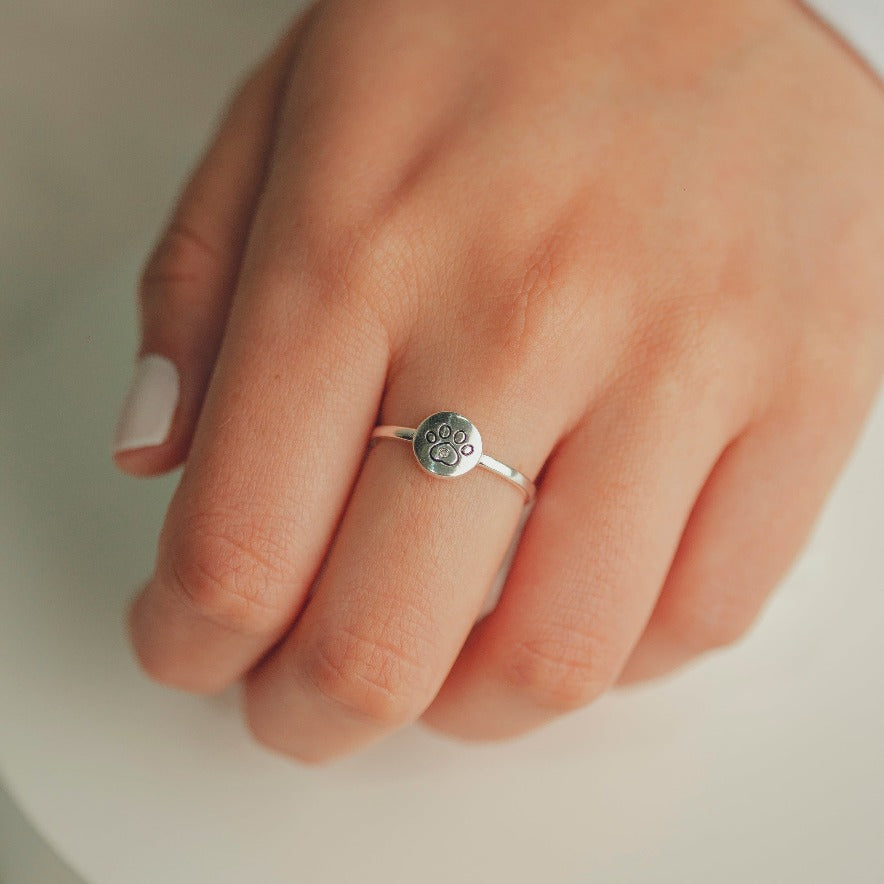 ANEL PATINHA PET EM PRATA HUMANIZADA